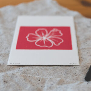 Flower Power collection - Hibiscus Pink | de Geerts